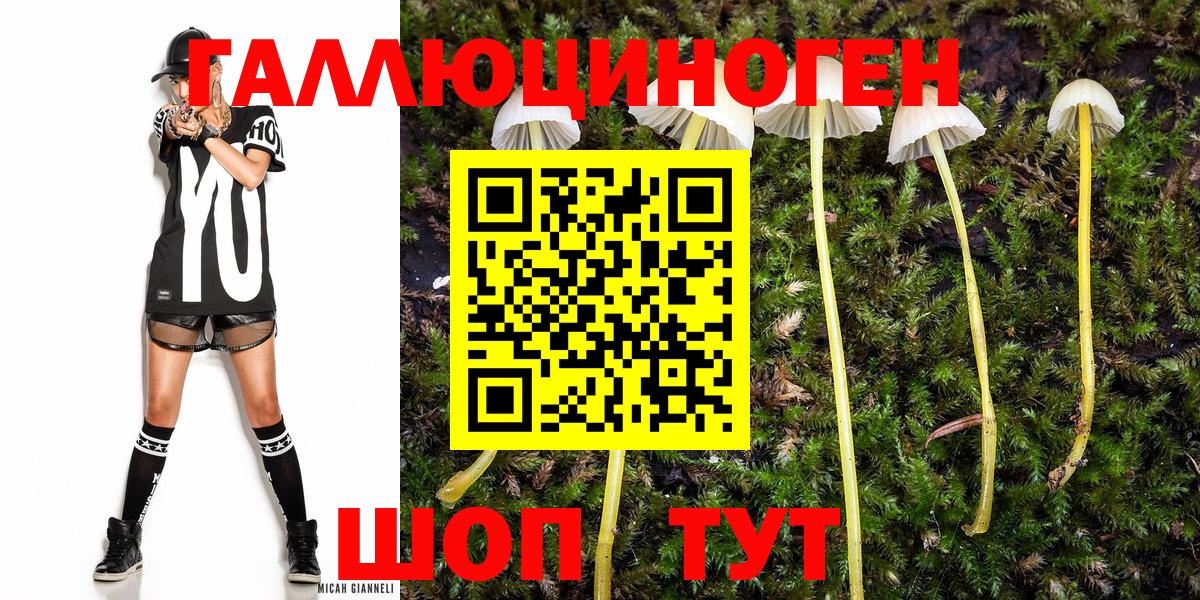 даркнет сайт  Галлюциногенные грибы Psilocybe  Псилоцибиновые грибы мухоморы  Вход с VPN  Нефтекумск 