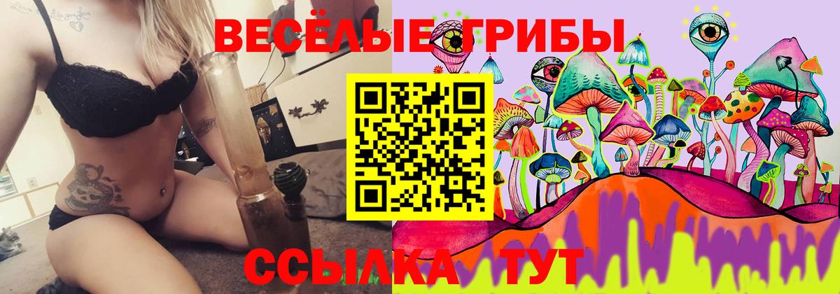 Галлюциногенные грибы MAGIC MUSHROOMS Нефтекумск