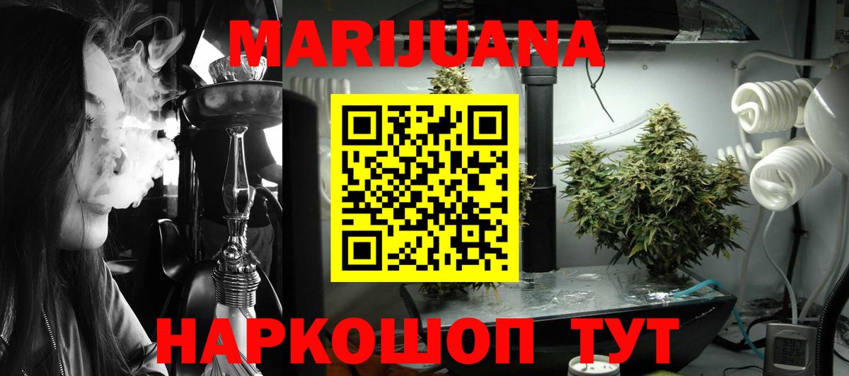 Шишки марихуана план  Бошки Шишки LSD WEED  Вход с VPN  Нефтекумск  Конопля MAZAR 